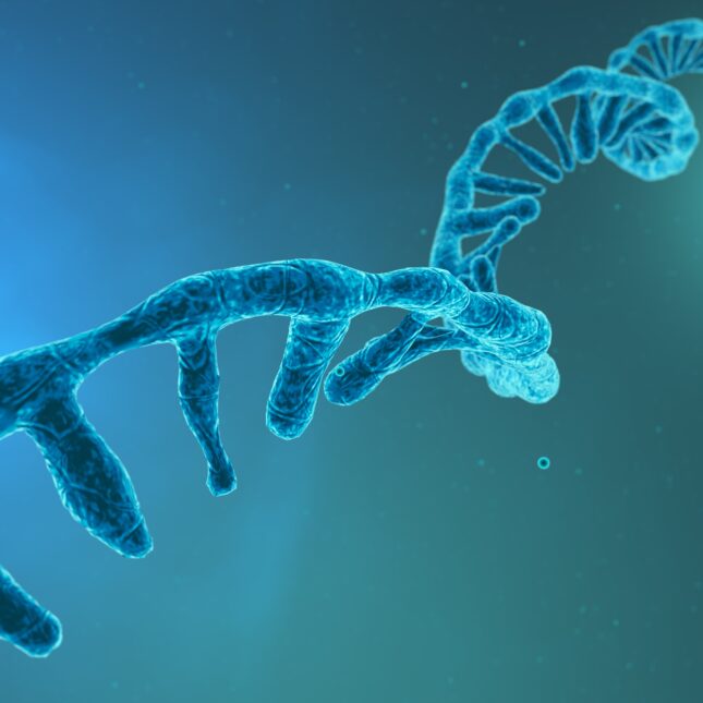 蓝色RNA链